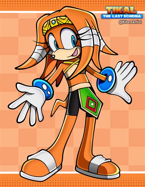 tikal sonic|tikal the echidna sonic.